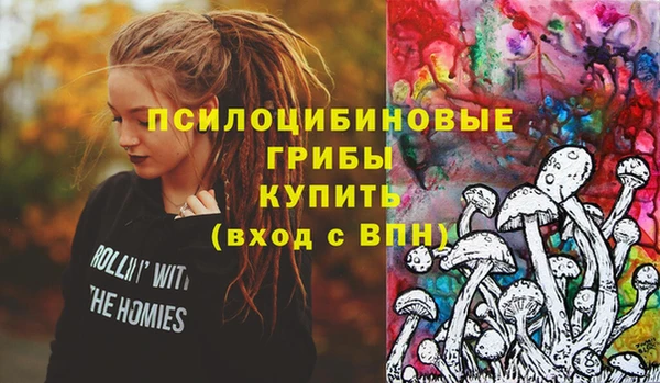 спайс Богородицк