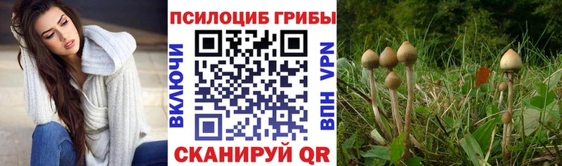 Галлюциногенные грибы GOLDEN TEACHER  Оренбург 